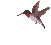 m.gif 